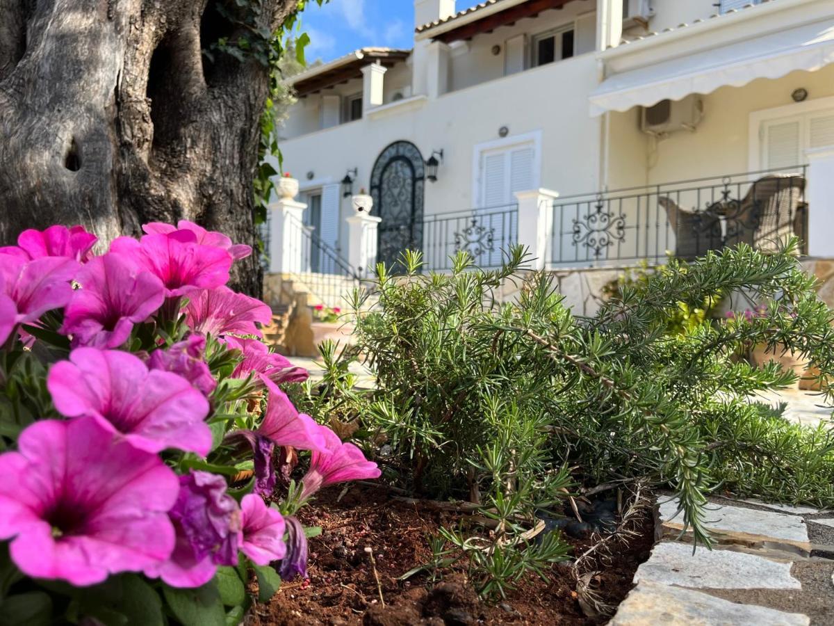 Villa Ampelaki 30 meters to beach Paleokastritsa Exteriör bild
